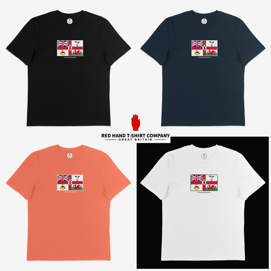 Swansea Young Loyalists Flag T-shirt