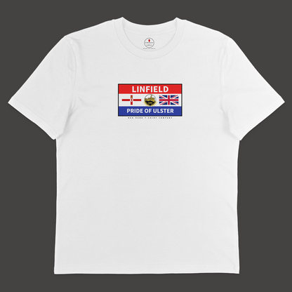 Pride Of Ulster Flag T-shirt